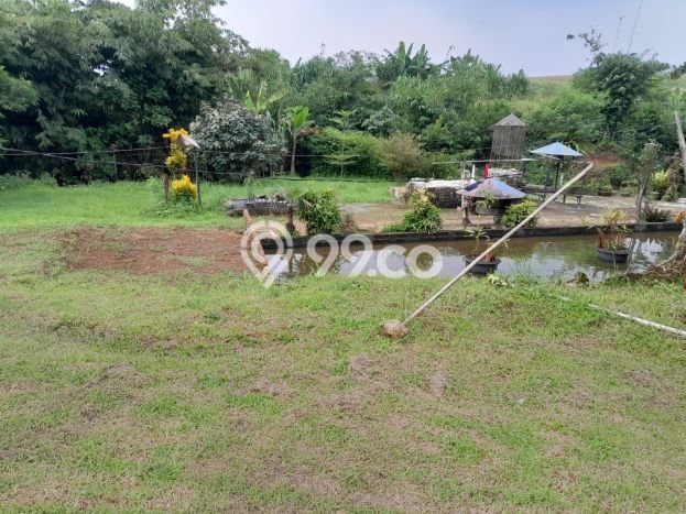 Rumah Minimalis Terbaik Dijual Area Ciomas LT 6389m2 Rumah Minimalis Terbaik Dijual Area Ciomas LT 6389m2