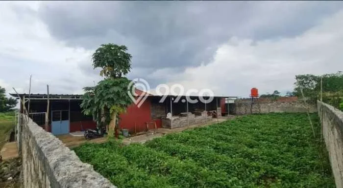 Kavling Tanah Dijual di Dramaga Bogor Spesifikasi 1000m2 Kavling Tanah Dijual di Dramaga Bogor Spesifikasi 1000m2