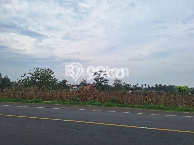 Tanah Kavling untuk Dijual di Natar Lampung Selatan 110000m2 Tanah Kavling untuk Dijual di Natar Lampung Selatan 110000m2