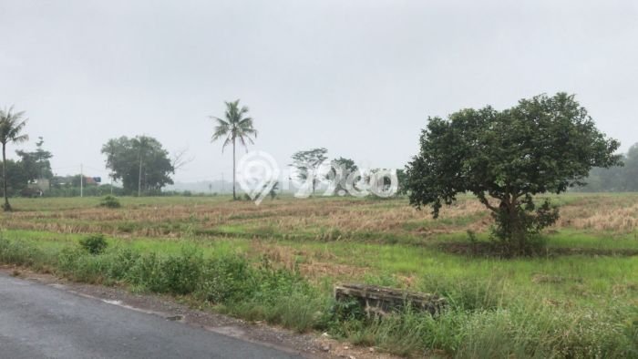 Lahan untuk Dijual Lokasi Jati Agung, Lampung Selatan Luas 8000m2 SHM Lahan untuk Dijual Lokasi Jati Agung, Lampung Selatan Luas 8000m2 SHM