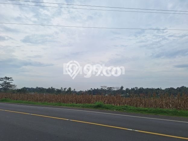 Tanah Dijual Lokasi Natar Lampung Selatan SHM Tanah Dijual Lokasi Natar Lampung Selatan SHM