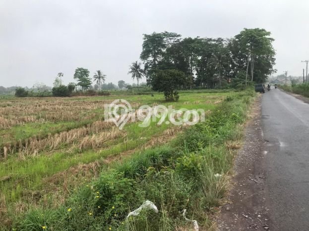 Lahan untuk Dijual Lokasi Jati Agung, Lampung Selatan Luas 8000m2 SHM Lahan untuk Dijual Lokasi Jati Agung, Lampung Selatan Luas 8000m2 SHM