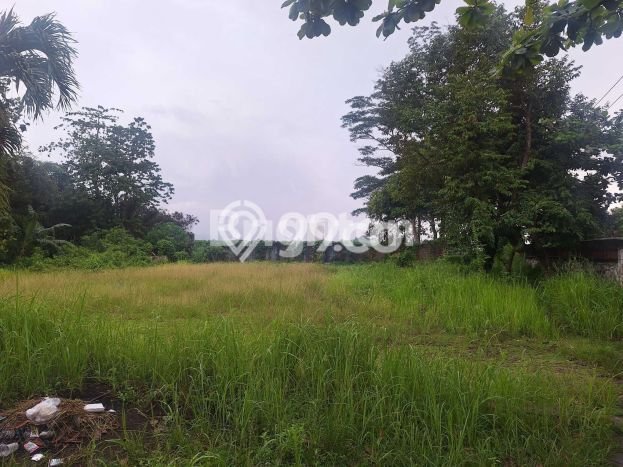 Untuk Disewa Tanah di Tanjung Karang Timur Luas 1750m2 SHM Untuk Disewa Tanah di Tanjung Karang Timur Luas 1750m2 SHM