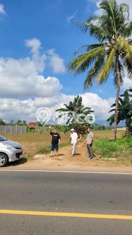 Tanah di Natar, Lampung Selatan Luas 40000m2 Dijual Segera Tanah di Natar, Lampung Selatan Luas 40000m2 Dijual Segera