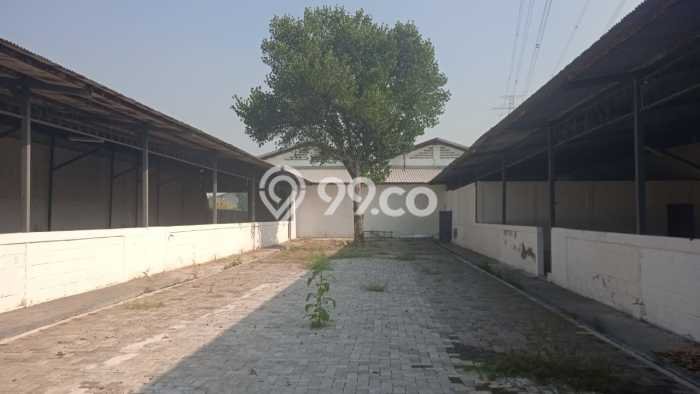 Gudang Dijual Lokasi Stratagis di Bangil Pasuruan Cocok untuk Investasi Gudang Dijual Lokasi Stratagis di Bangil Pasuruan Cocok untuk Investasi
