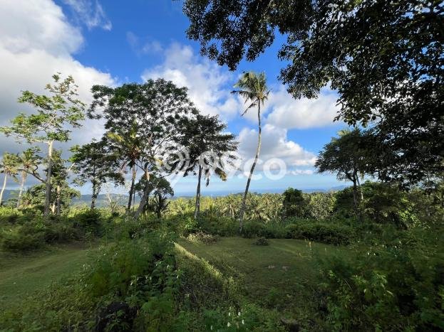 Kavling Tanah Dijual di Karangasem, Karangasem, Luas 8300m2 Area Strategis Kavling Tanah Dijual di Karangasem, Karangasem, Luas 8300m2 Area Strategis