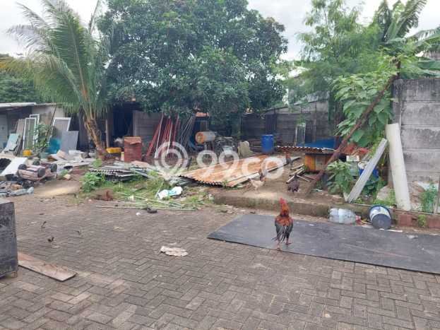 Jarang Ada! Tanah di BSD Punya Luas 1011m2 SHM Jarang Ada! Tanah di BSD Punya Luas 1011m2 SHM