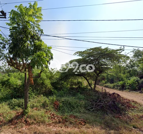 Tanah Kavling untuk Dijual di Jatiwangi Majalengka 28000m2 Tanah Kavling untuk Dijual di Jatiwangi Majalengka 28000m2