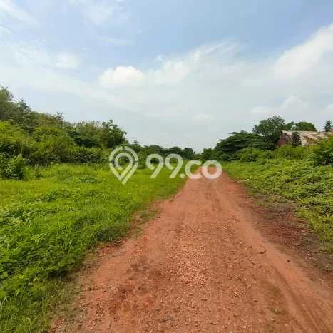 Tanah Kavling untuk Dijual di Jatiwangi Majalengka 28000m2 Tanah Kavling untuk Dijual di Jatiwangi Majalengka 28000m2