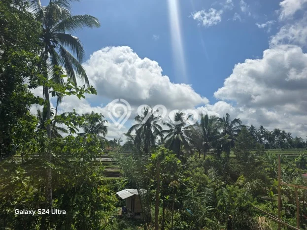 HARGA MENARIK! Tanah di Ubud, Luas 1100m2m², Kawasan Potensial, Bebas Banjir HARGA MENARIK! Tanah di Ubud, Luas 1100m2m², Kawasan Potensial, Bebas Banjir