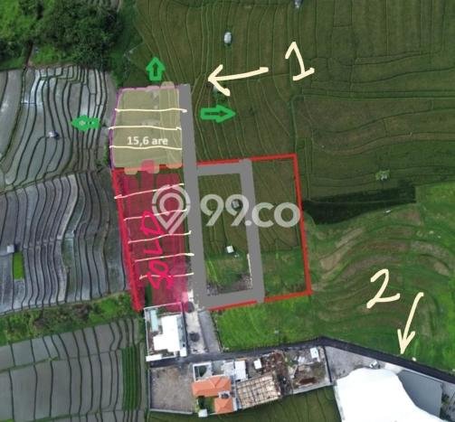 Tanah Dijual di Badung Seluas 1564m2 Strategis Tanah Dijual di Badung Seluas 1564m2 Strategis