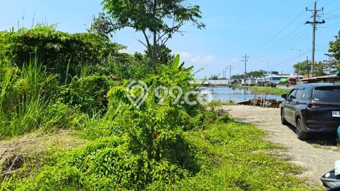 Unit Gudang Strategis di Kaliwungu, Kendal Potensi Cuan Besar Unit Gudang Strategis di Kaliwungu, Kendal Potensi Cuan Besar