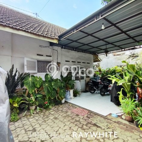 Kesempatan Investasi di Malang Kota, Dekat Kawasan Bisnis, Malang - 4 Kamar Tidur Kesempatan Investasi di Malang Kota, Dekat Kawasan Bisnis, Malang - 4 Kamar Tidur