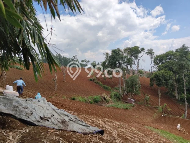 Dijual Tanah di Bandung, Luas 14045m2 SHM Dijual Tanah di Bandung, Luas 14045m2 SHM