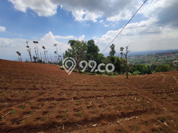 Dijual Tanah di Bandung, Luas 14045m2 SHM Dijual Tanah di Bandung, Luas 14045m2 SHM