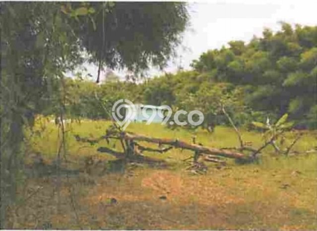 Tanah untuk Dijual Lokasi Kebon Jeruk, Jakarta Barat Luas 435m2 - Tanah untuk Dijual Lokasi Kebon Jeruk, Jakarta Barat Luas 435m2 -