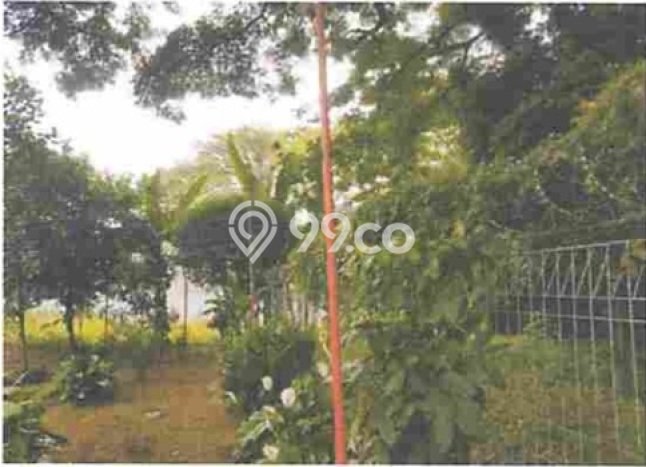 Kavling Tanah Dijual di Kebon Jeruk, Jakarta Barat, Luas 435m2 Area Strategis Kavling Tanah Dijual di Kebon Jeruk, Jakarta Barat, Luas 435m2 Area Strategis