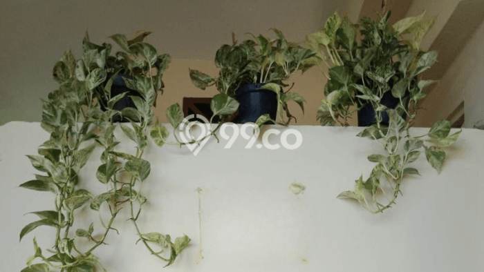 Tanah Dijual Lokasi Kuta Selatan, Badung Luas 475m2 Legalitas Aman Tanah Dijual Lokasi Kuta Selatan, Badung Luas 475m2 Legalitas Aman