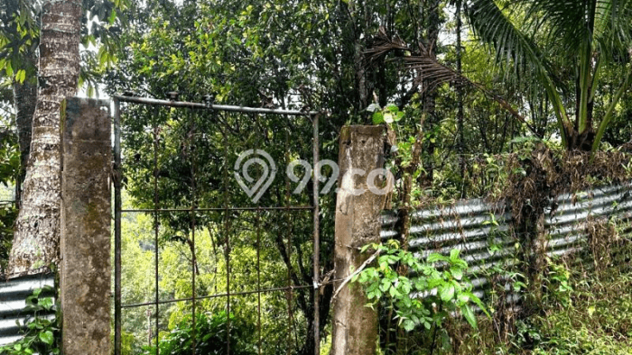 Tanah untuk Dijual Lokasi Busungbiu, Buleleng Luas 9500m2 SHM Tanah untuk Dijual Lokasi Busungbiu, Buleleng Luas 9500m2 SHM