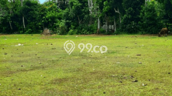 Tanah Kavling untuk Dijual di Kuta Selatan Badung 5220m2 Tanah Kavling untuk Dijual di Kuta Selatan Badung 5220m2