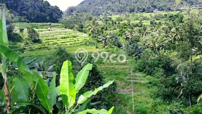 Lahan Investasi Lokasi Sidemen Karangasem SHM Lahan Investasi Lokasi Sidemen Karangasem SHM