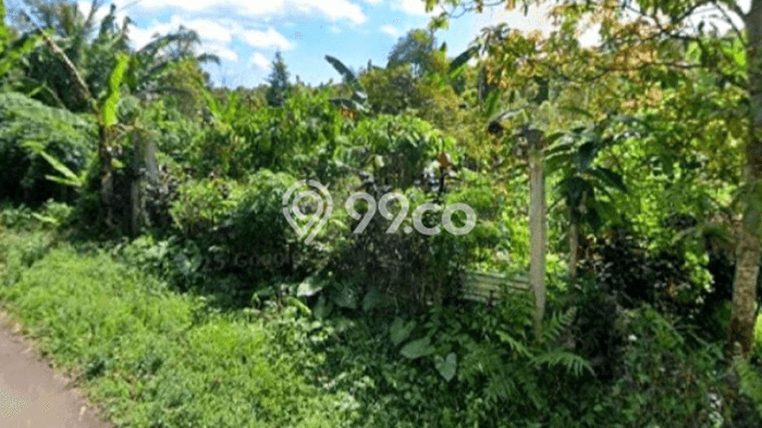 Kavling Tanah Dijual di Busungbiu Buleleng Spesifikasi 8300m2 Kavling Tanah Dijual di Busungbiu Buleleng Spesifikasi 8300m2