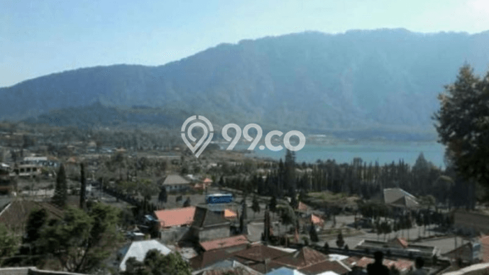Lahan Investasi Lokasi Baturiti Tabanan SHM Lahan Investasi Lokasi Baturiti Tabanan SHM