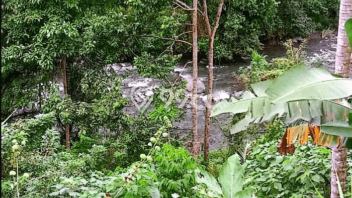 Lahan Investasi Lokasi Sidemen Karangasem SHM Lahan Investasi Lokasi Sidemen Karangasem SHM