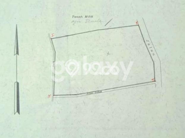 Kavling Tanah di Penebel Dijual Luas 5900m2 Legalitas SHM Kavling Tanah di Penebel Dijual Luas 5900m2 Legalitas SHM