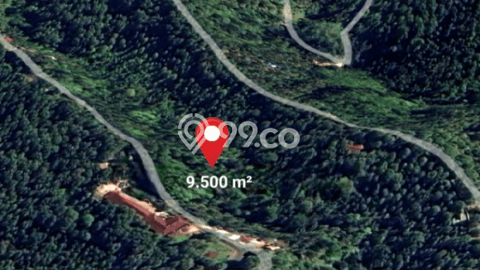 Tanah untuk Dijual Lokasi Busungbiu, Buleleng Luas 9500m2 SHM Tanah untuk Dijual Lokasi Busungbiu, Buleleng Luas 9500m2 SHM