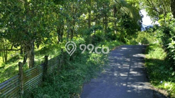 Tanah untuk Dijual Lokasi Busungbiu, Buleleng Luas 9500m2 SHM Tanah untuk Dijual Lokasi Busungbiu, Buleleng Luas 9500m2 SHM