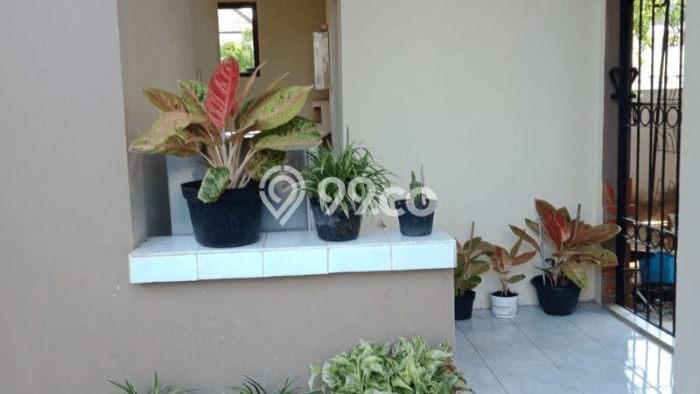 Tanah Dijual Lokasi Kuta Selatan, Badung Luas 475m2 Legalitas Aman Tanah Dijual Lokasi Kuta Selatan, Badung Luas 475m2 Legalitas Aman
