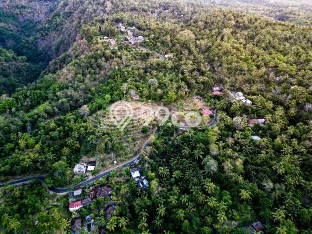 Tanah Kosong Dijual di Buleleng dengan Area 1000m2 Tanah Kosong Dijual di Buleleng dengan Area 1000m2