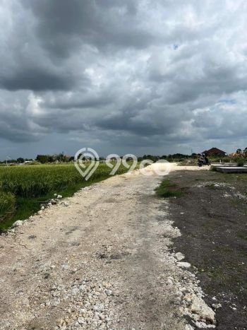 Tanah Kavling Dijual di Badung dengan Spesifikasi 100m2 Tanah Kavling Dijual di Badung dengan Spesifikasi 100m2