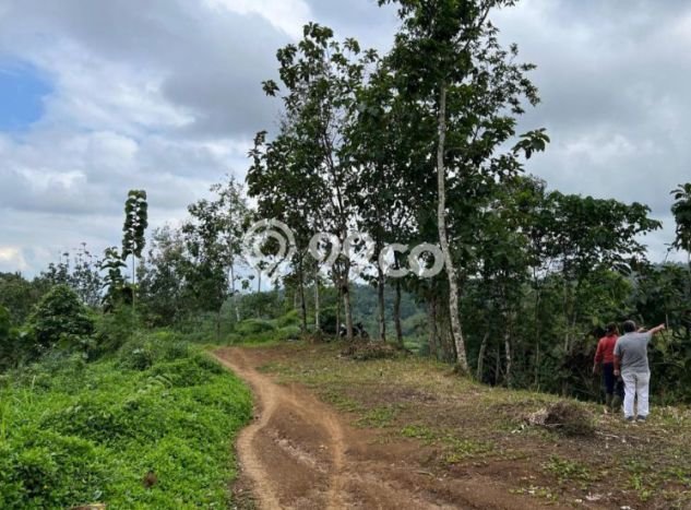 Kavling Tanah di Tabanan Dijual Luas 500m2 Legalitas SHM Kavling Tanah di Tabanan Dijual Luas 500m2 Legalitas SHM