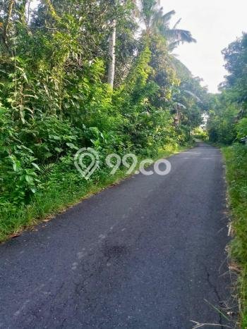 Jarang Ada! Tanah di Selemadeg Punya Luas 2990m2 SHM Jarang Ada! Tanah di Selemadeg Punya Luas 2990m2 SHM
