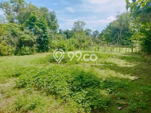 Tanah Dijual di Badung Seluas 200m2 Strategis Tanah Dijual di Badung Seluas 200m2 Strategis