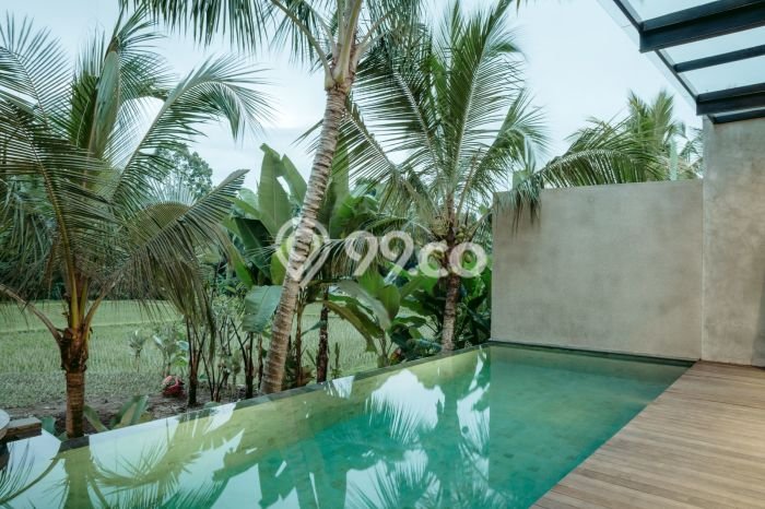 Vila Premium di Ubud, Luas 100m2m², Dekat ke Ubud, Gianyar, Gianyar Vila Premium di Ubud, Luas 100m2m², Dekat ke Ubud, Gianyar, Gianyar