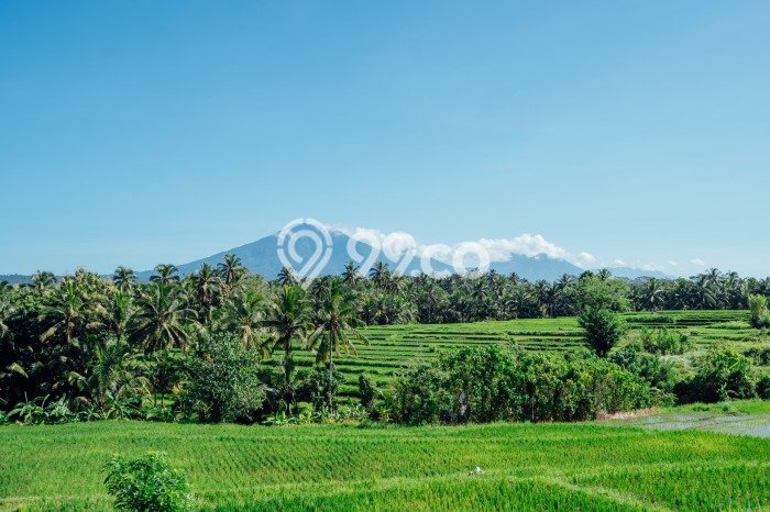 Vila Berkualitas di Tabanan, Area 2500m2m², Lokasi Premium dengan akses mudah Vila Berkualitas di Tabanan, Area 2500m2m², Lokasi Premium dengan akses mudah