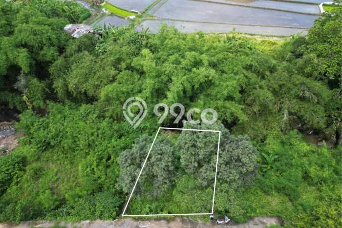 Tanah Dijual Area Strategis di Dalung Badung 170m2 Tanah Dijual Area Strategis di Dalung Badung 170m2