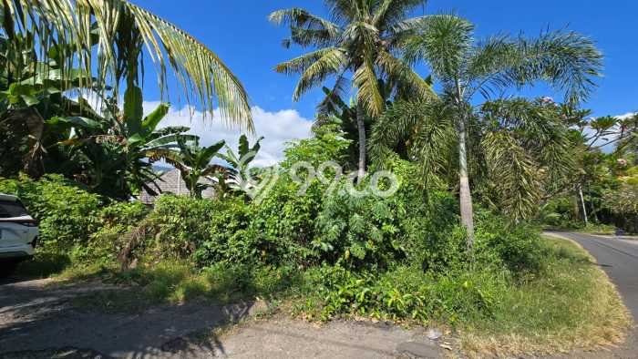 Tanah Kavling Dijual di Buleleng dengan Spesifikasi 319m2 Tanah Kavling Dijual di Buleleng dengan Spesifikasi 319m2