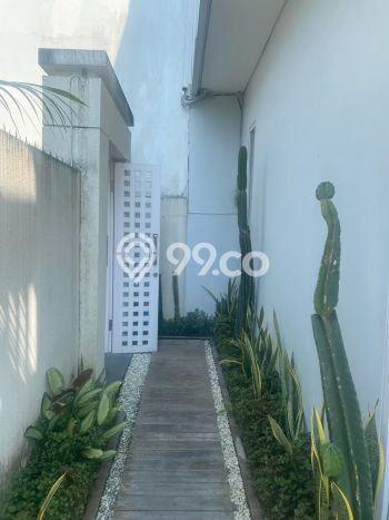 Disewakan Rumah Harga Terjangkau di canggu Badung Punya 3 KT Disewakan Rumah Harga Terjangkau di canggu Badung Punya 3 KT