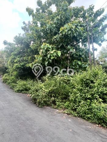 Tanah Kavling Dijual di Badung dengan Spesifikasi 1000m2 Tanah Kavling Dijual di Badung dengan Spesifikasi 1000m2