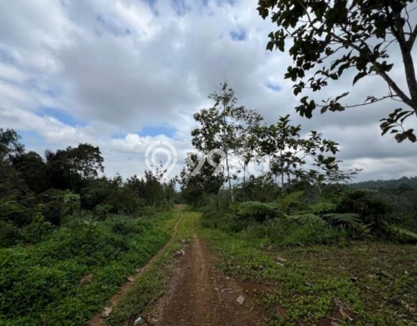 Kavling Tanah di Tabanan Dijual Luas 500m2 Legalitas SHM Kavling Tanah di Tabanan Dijual Luas 500m2 Legalitas SHM