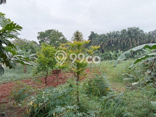 Tanah untuk Dijual Lokasi Bojong Gede, Bogor Luas 1400m2 SHM Tanah untuk Dijual Lokasi Bojong Gede, Bogor Luas 1400m2 SHM