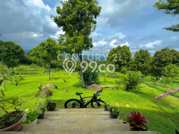 Jarang Ada! Tanah di Kiarapedes Punya Luas 73200m2 SHM Jarang Ada! Tanah di Kiarapedes Punya Luas 73200m2 SHM