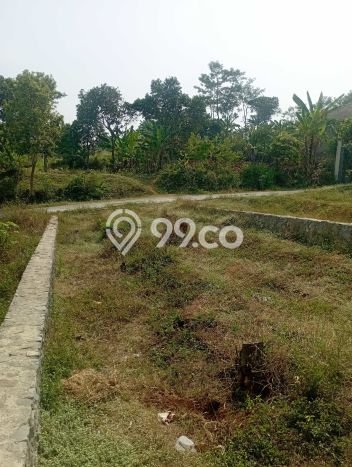 Tanah Dijual Lokasi Cileunyi Bandung SHM Tanah Dijual Lokasi Cileunyi Bandung SHM