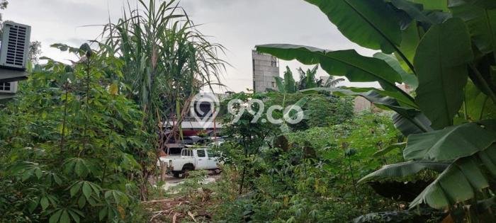 Tanah Kavling Dijual di Jakarta Selatan dengan Spesifikasi 2500m2 Tanah Kavling Dijual di Jakarta Selatan dengan Spesifikasi 2500m2