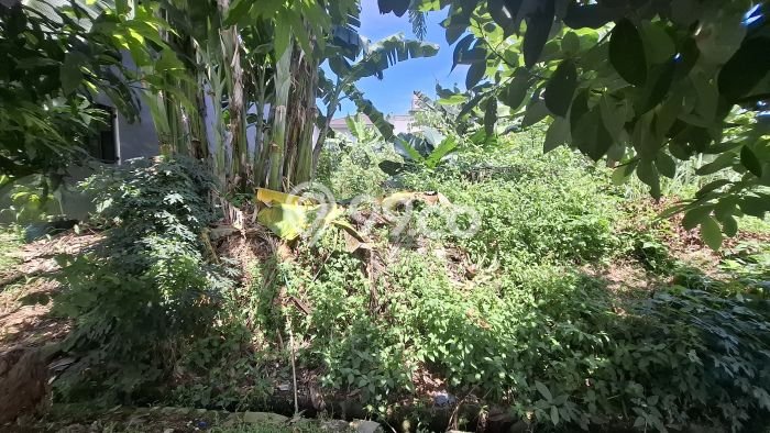 Tanah Siap Bangun Dijual di Tangerang Selatan Punya Luas 403m2 Tanah Siap Bangun Dijual di Tangerang Selatan Punya Luas 403m2
