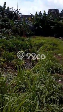 Lahan Kosong Dijual di Pondok Aren, Tangerang Selatan, Luas 1528m2 Area Strategis Lahan Kosong Dijual di Pondok Aren, Tangerang Selatan, Luas 1528m2 Area Strategis